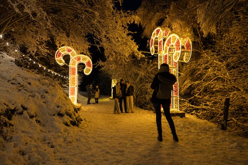Personas disfrutando de decoraciones navideñas en un camino nevado