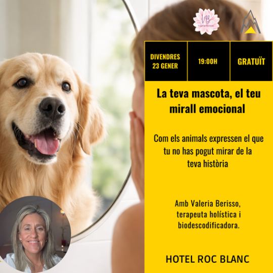 Perro mirando a su dueño en un evento sobre emociones y mascotas