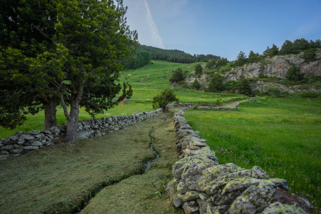Paisaje verde con camino de piedra en Andorra