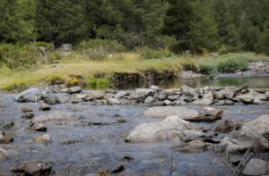 Río con piedras y vegetación en un entorno natural