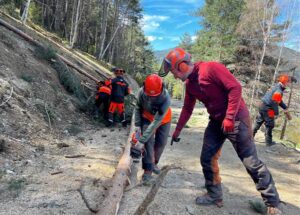Cinco operarios del Comú de la Massana usando motoserra en un curso de formación