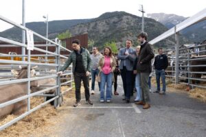 Visitantes observando ganado en la Fira del Bestiar en Ordino