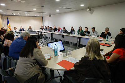 Reunión del Govern sobre derechos de personas con discapacidad
