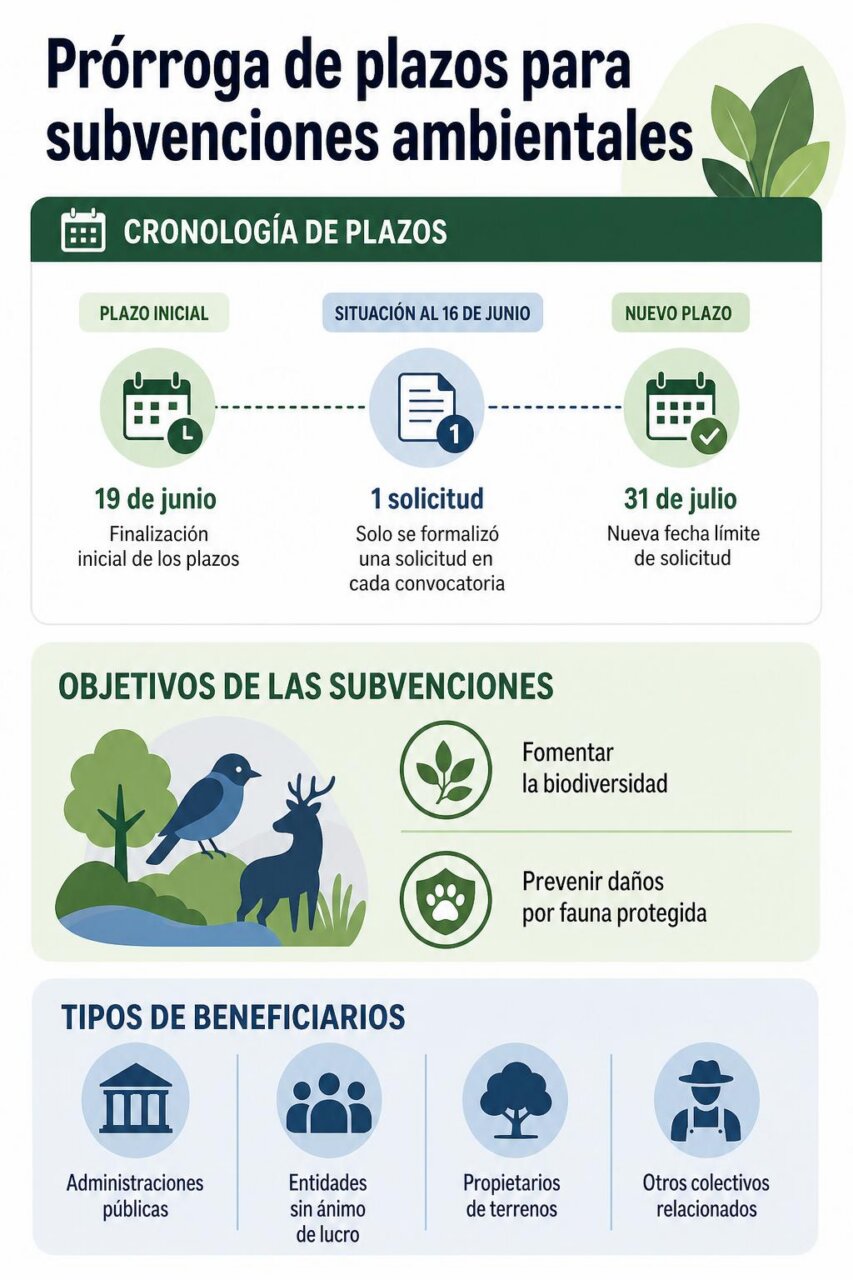 Infografía de la noticia