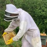 Persona con traje de apicultor manipulando un panal de abejas.