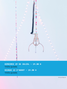 Imagen de la visita guiada a la exposición Entre dos mundos en Andorra la Vella