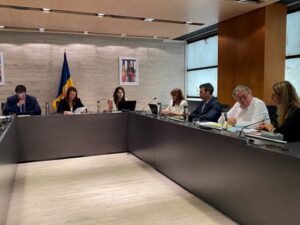Reunión del Comú de Ordino sobre el nuevo centro sociosanitario en la Cortinada
