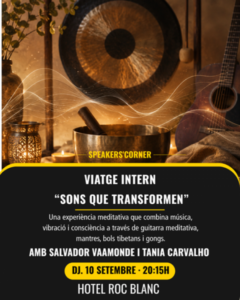 Taller meditativo de sonido con instrumentos como gongs y guitarra